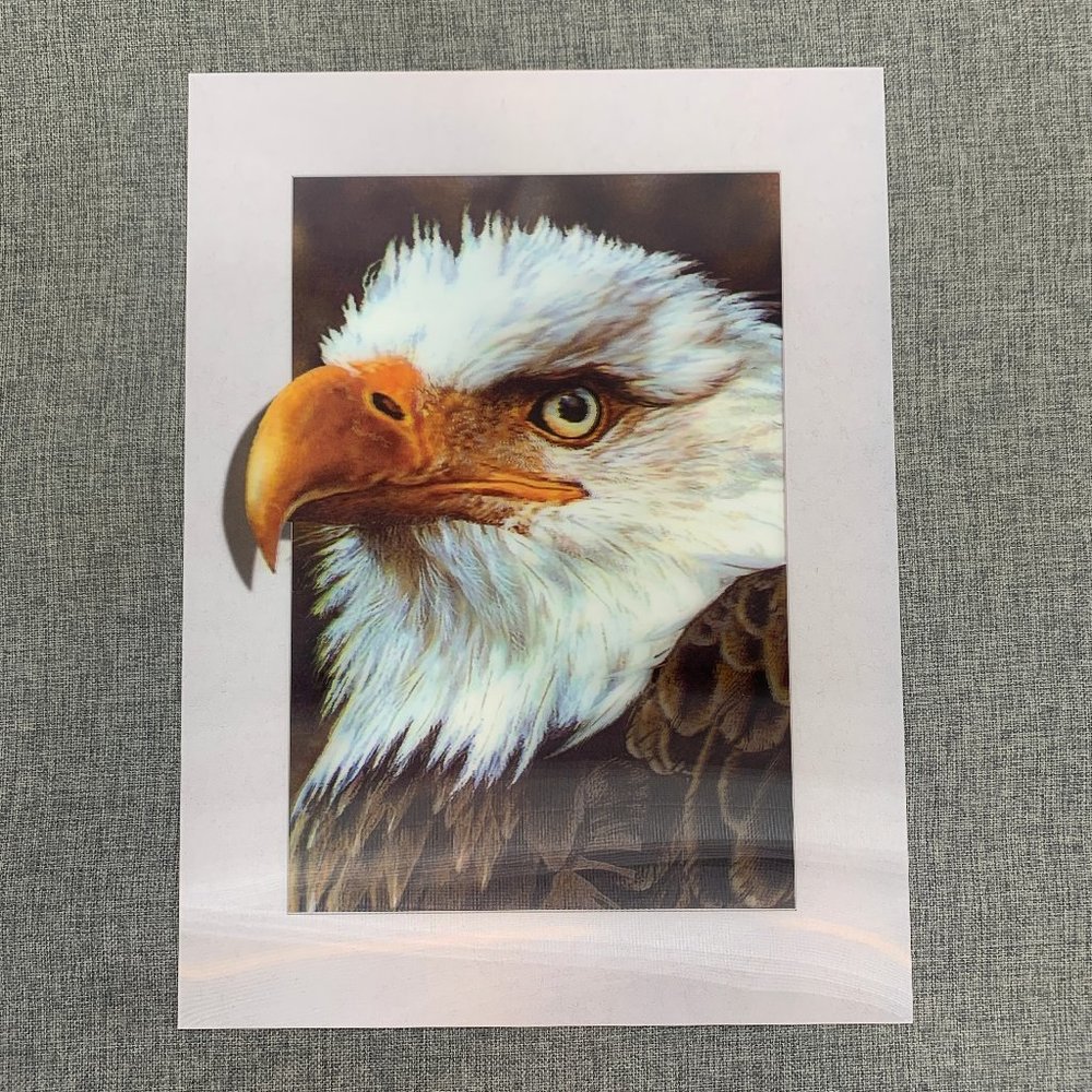 Brand New! Bald Eagle 3D Lenticular Poster 11.5"x15.5" Wall Art Decor Pops out